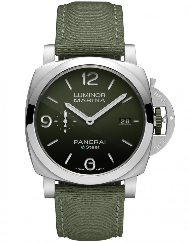 PAM01356